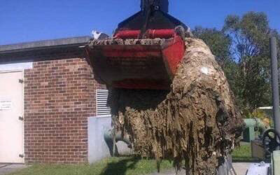 The damage wet wipes cause to drainage